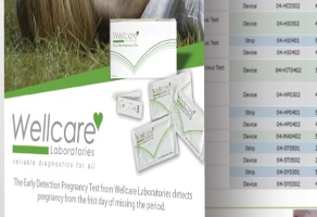 wellcare.jpg